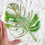 Large Monstera Leaf Plant Coaster